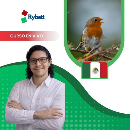 Monitoreo bioacústico de aves