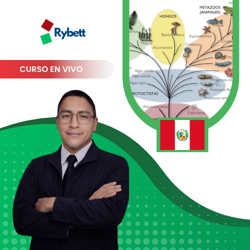 Filogenia y reloj evolutivo